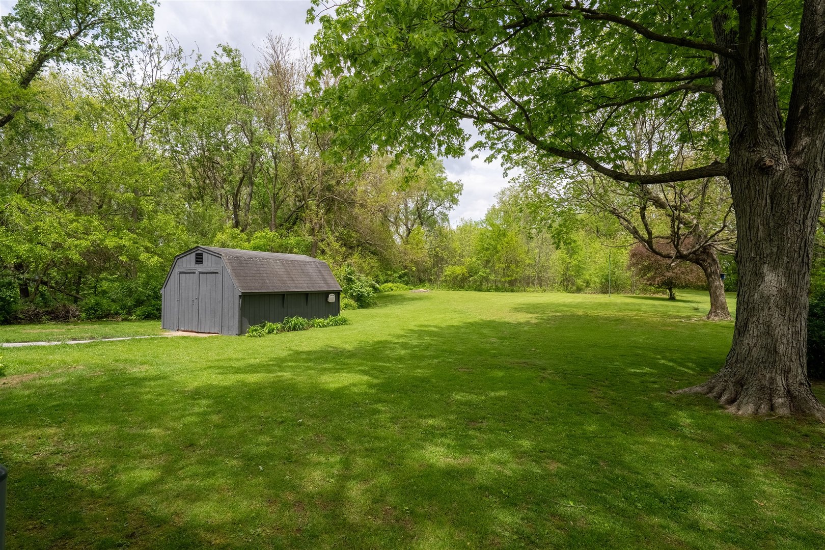 7277 East 3000 N Road Cornell, IL 61319 - Photo 31 of 40 a view of a big yard with large trees