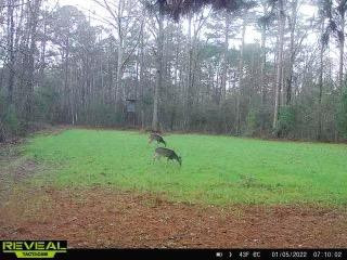 4603 New Hope Road Gloster, MS 39638 - Photo 25 of 46 Photo 25