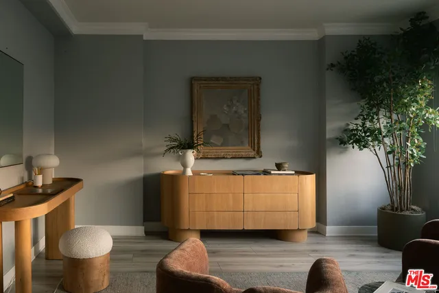 a living room with furniture and a potted plant