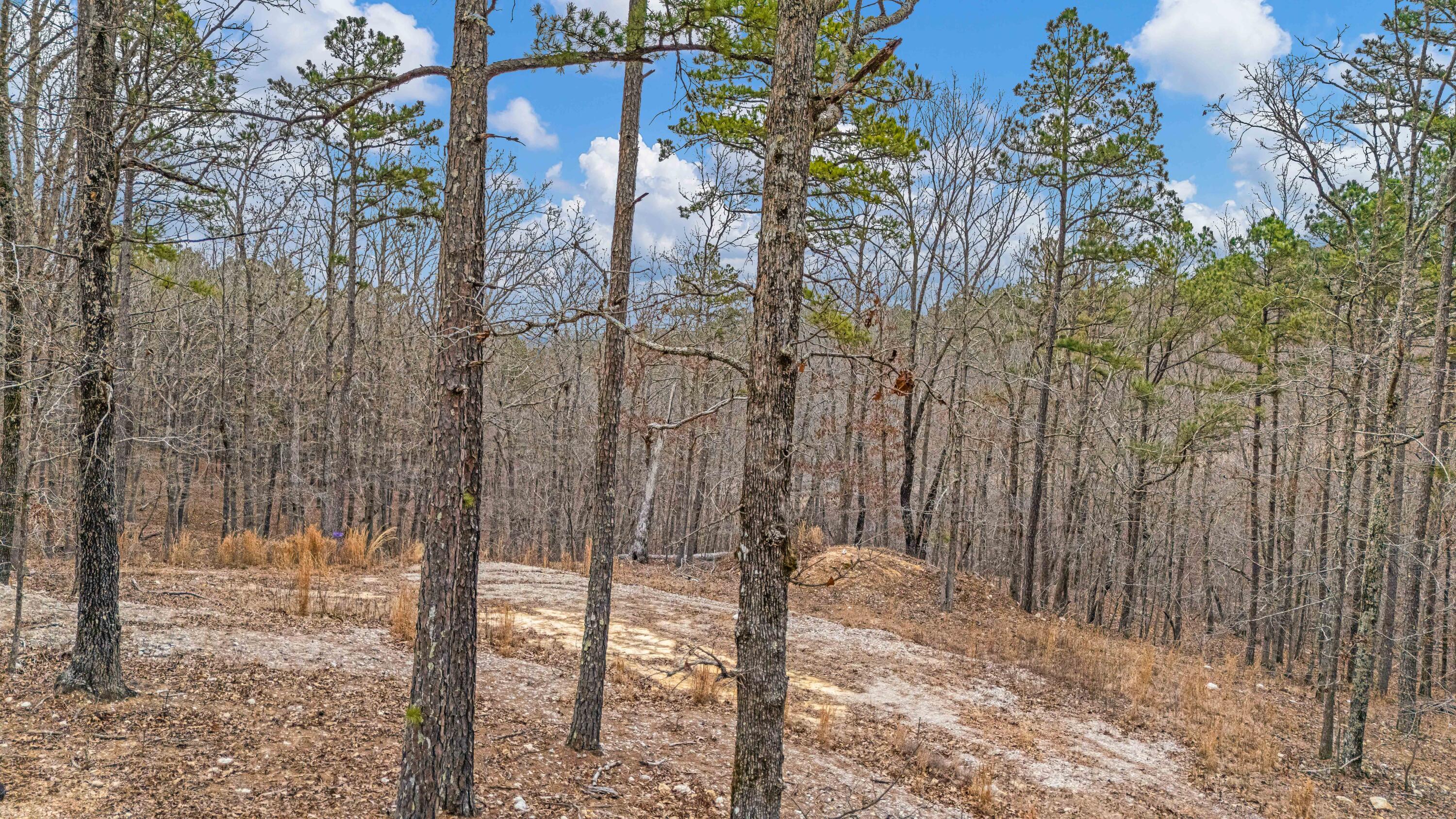 467 Timberline Road Willow Springs, MO 65793 - Photo 2 of 7 DJI_20260228171538_0634_D