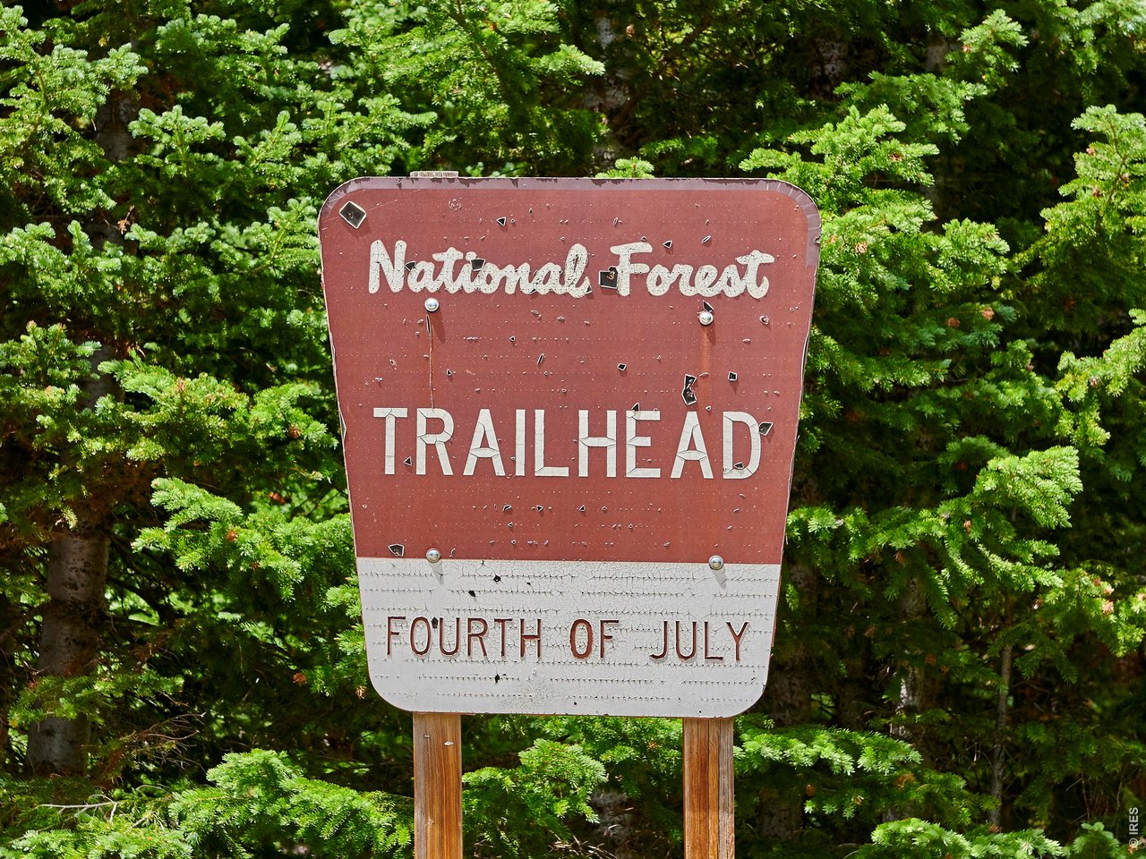 3894 4th Of July Road Nederland, CO 80466 - Photo 6 of 30 Everyone will want to visit