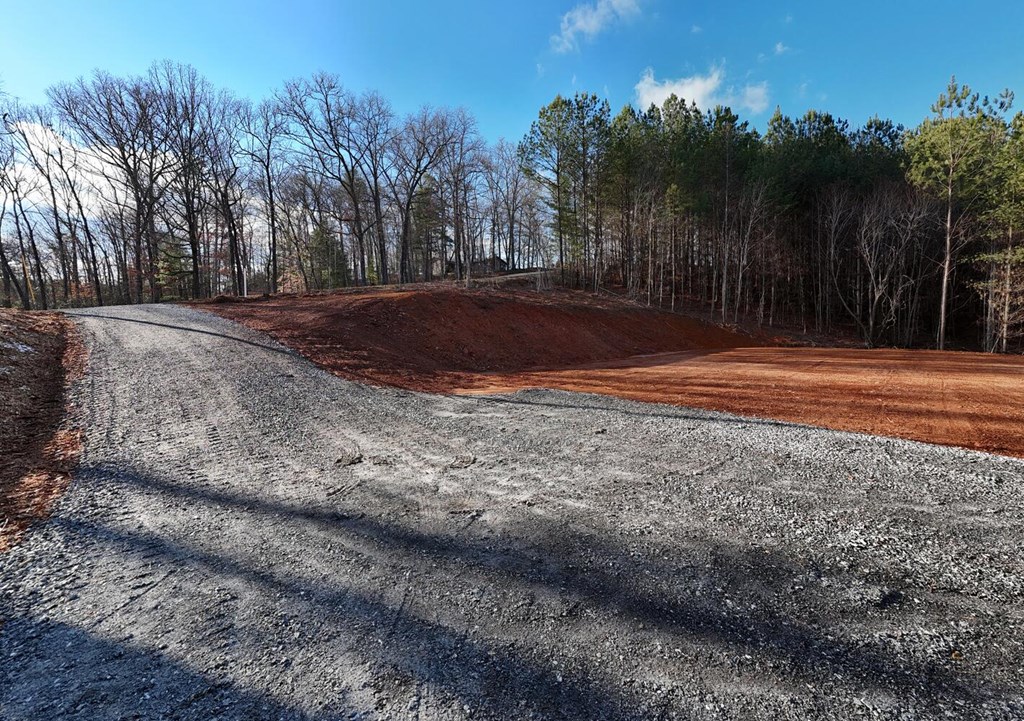 Lot B Hilltop Road Murphy, NC 28906 - Photo 15 of 32 a view of dirt yard with a large tree