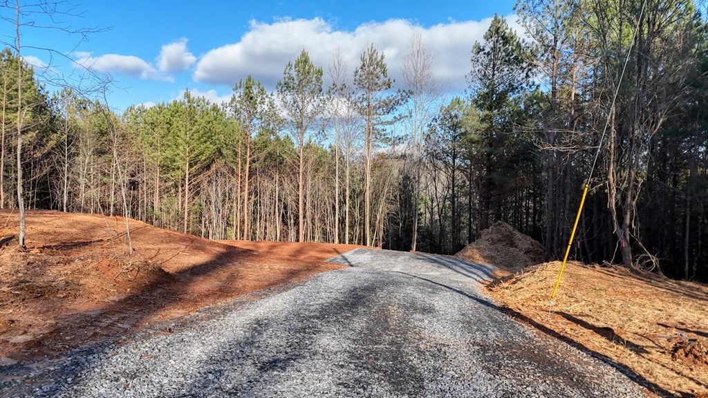 Lot B Hilltop Road Murphy, NC 28906 - Photo 17 of 32 a view of a backyard of the house