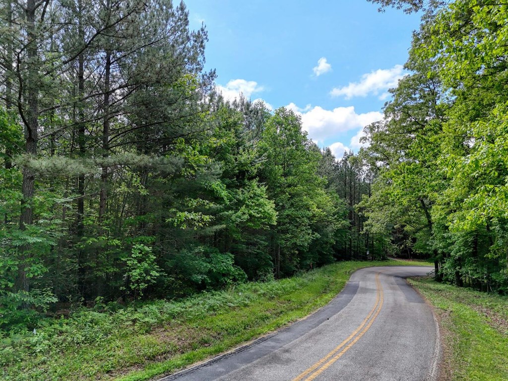 Lot B Hilltop Road Murphy, NC 28906 - Photo 21 of 32 a view of a street with a trees in the background