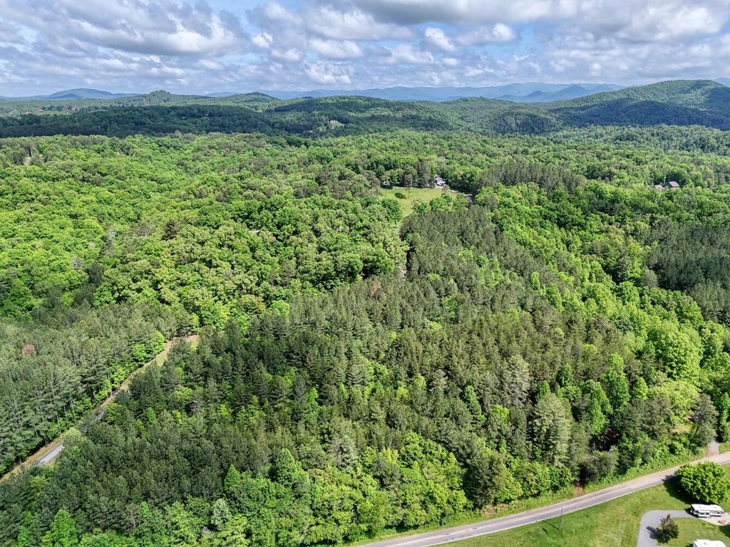 Lot B Hilltop Road Murphy, NC 28906 - Photo 22 of 43 Gallery Image 22