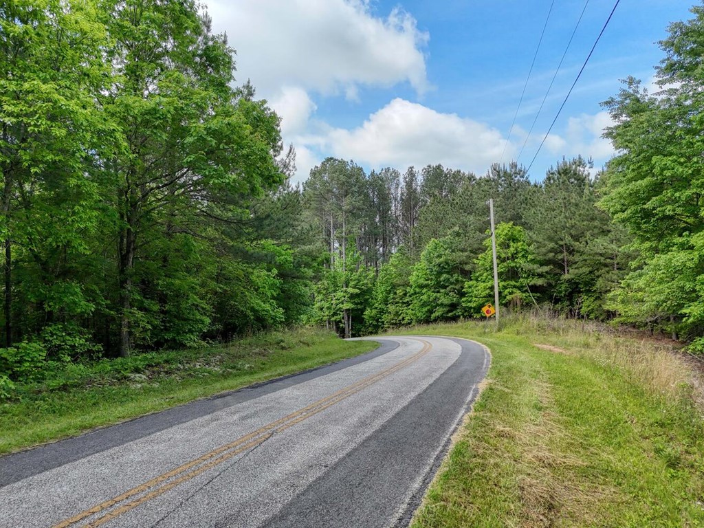 Lot B Hilltop Road Murphy, NC 28906 - Photo 25 of 32