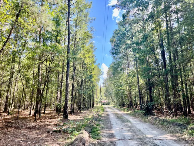 $199,900 | 1 Evangelist Drive, Early Branch, SC 29916