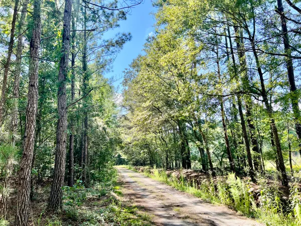 $199,900 | 1 Evangelist Drive, Early Branch, SC 29916