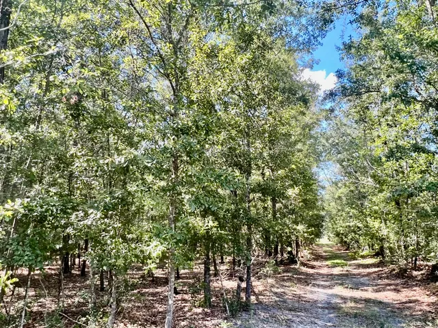 $199,900 | 1 Evangelist Drive, Early Branch, SC 29916