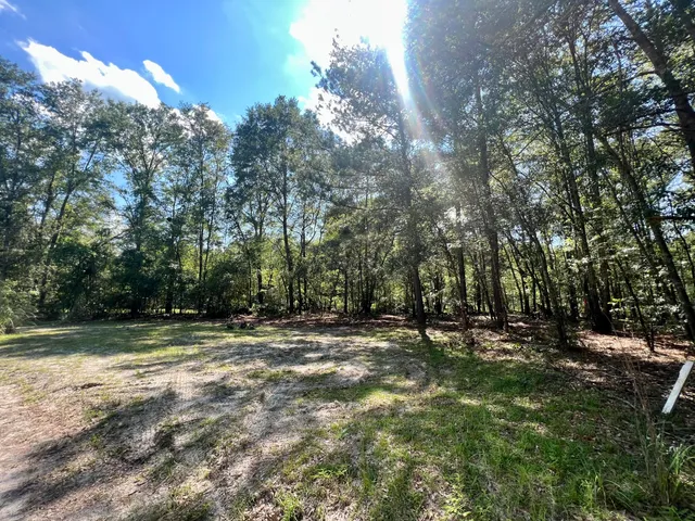 $199,900 | 1 Evangelist Drive, Early Branch, SC 29916