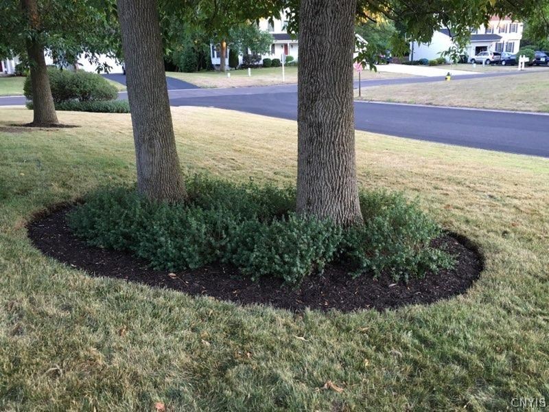 4517 Ballygar Road Lysander, NY 13027 - Photo 33 of 36