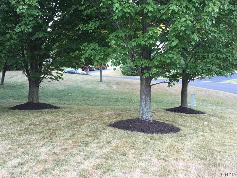 4517 Ballygar Road Lysander, NY 13027 - Photo 34 of 36