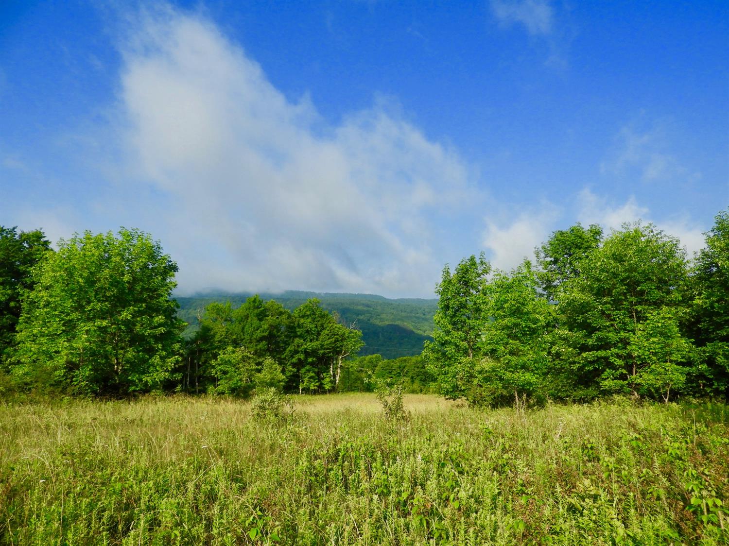 0 Highland Road Andes, NY 13731 - Photo 1 of 1 Gallery Image 1