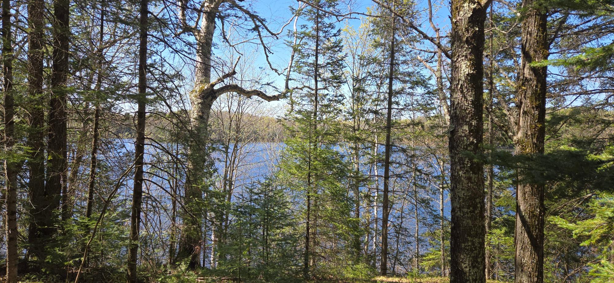 7981 East Armour Lake Road Presque Isle, WI 54557 - Photo 29 of 37 Gallery Image 29