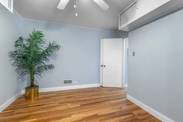 a view of a room with wooden floor and plant