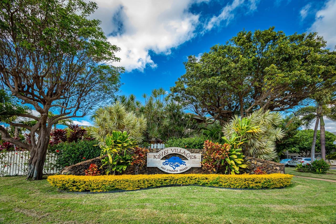 a view of a small yard