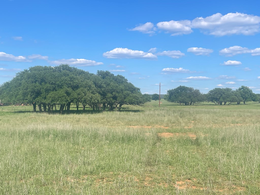 5850 Ranch Road 385 London, TX 76854 - Photo 6 of 16