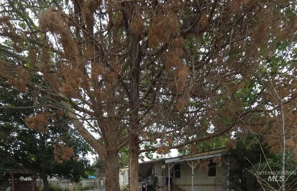 $100,000 | 15919 Sundown Drive, Caldwell, ID 83607