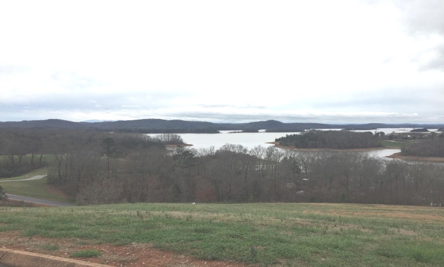 30 Shiloh Springs Road Rutledge, TN 37861 - Photo 5 of 7