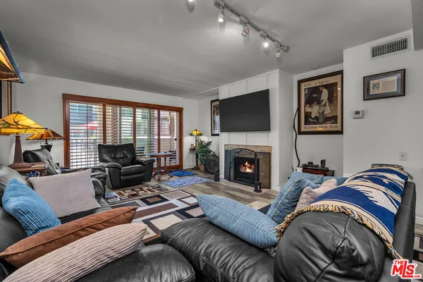 a living room with furniture or couch and a fireplace