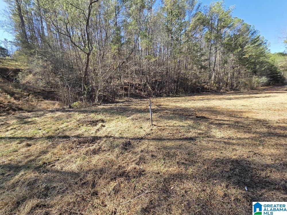 1615 Blanton Road Parrish, AL 35580 - Photo 8 of 12 Gallery Image 8