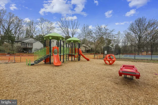 a view of a park with large trees