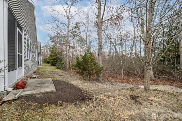 a view of backyard with green space