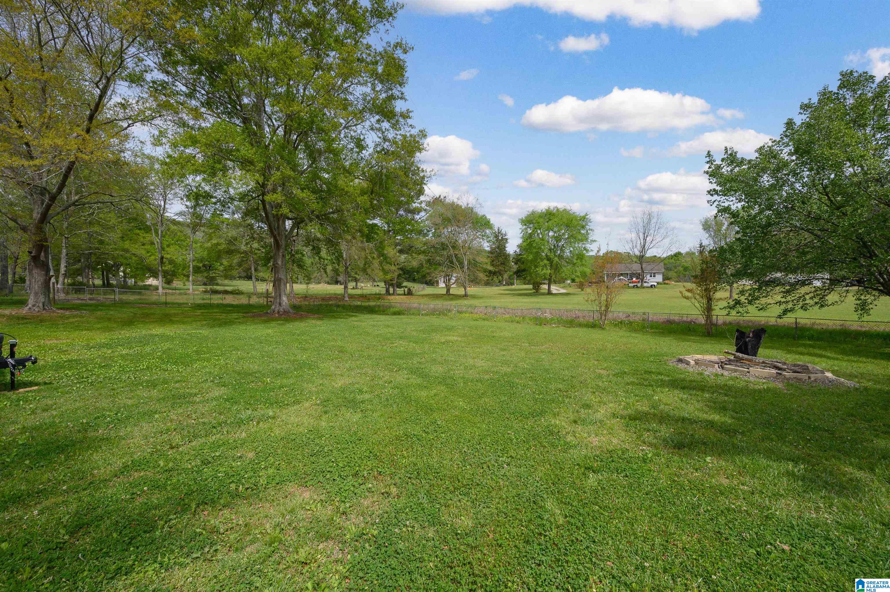 443 Huff Lane Steele, AL 35987 - Photo 42 of 54