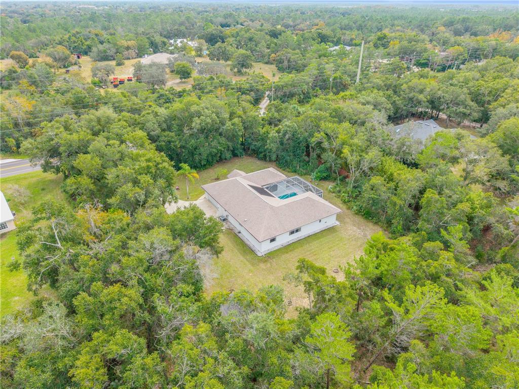 3033 Turnbull Bay Road New Smyrna Beach, FL 32168 - Photo 34 of 54 an aerial view of residential house with outdoor space and trees all around