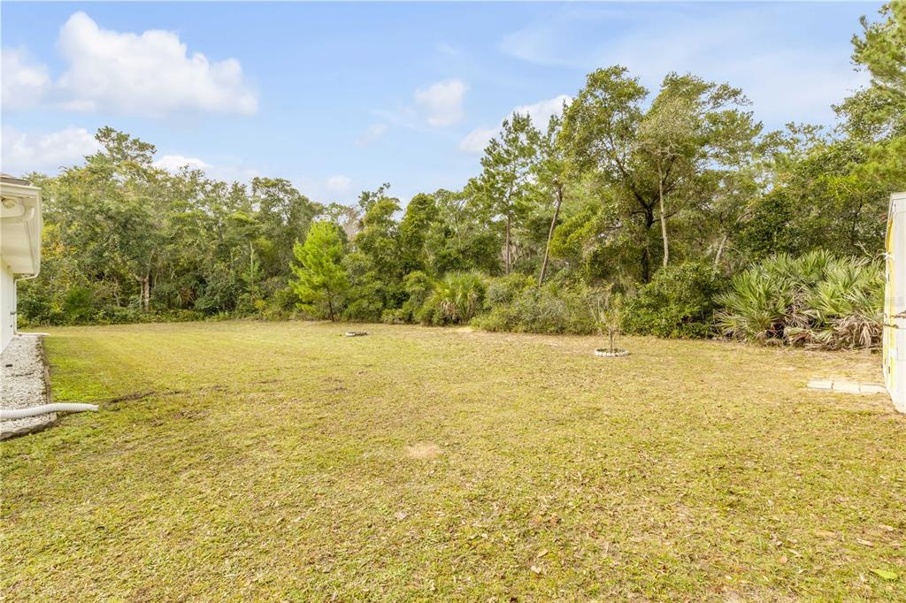 3033 Turnbull Bay Road New Smyrna Beach, FL 32168 - Photo 48 of 54 a view of an ocean