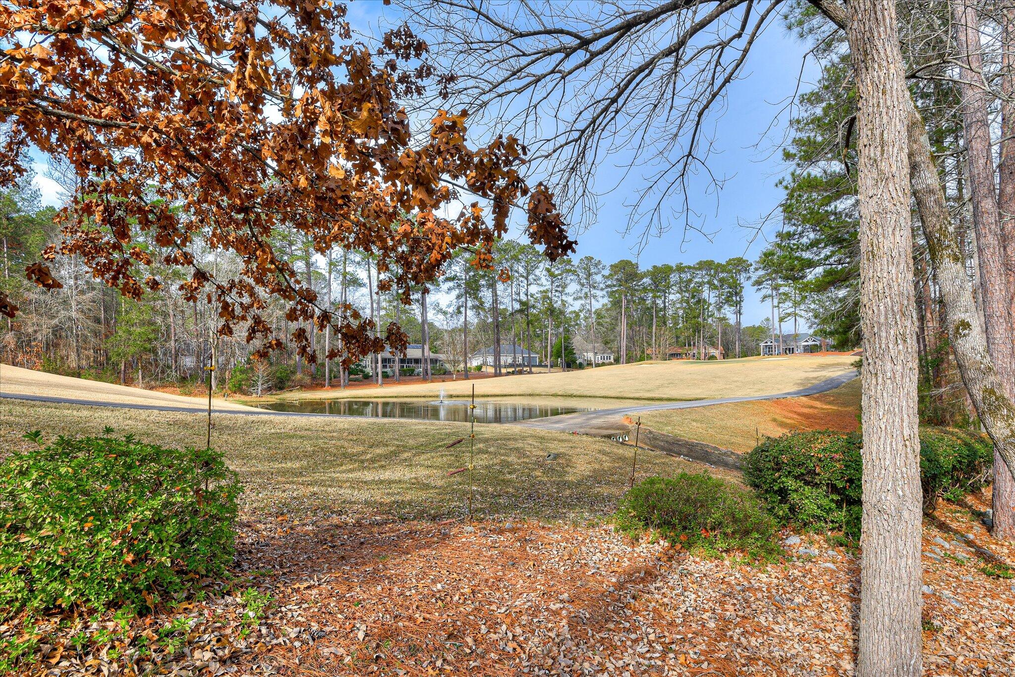 216 Charleston Lane McCormick, SC 29835 - Photo 45 of 54 45-118
