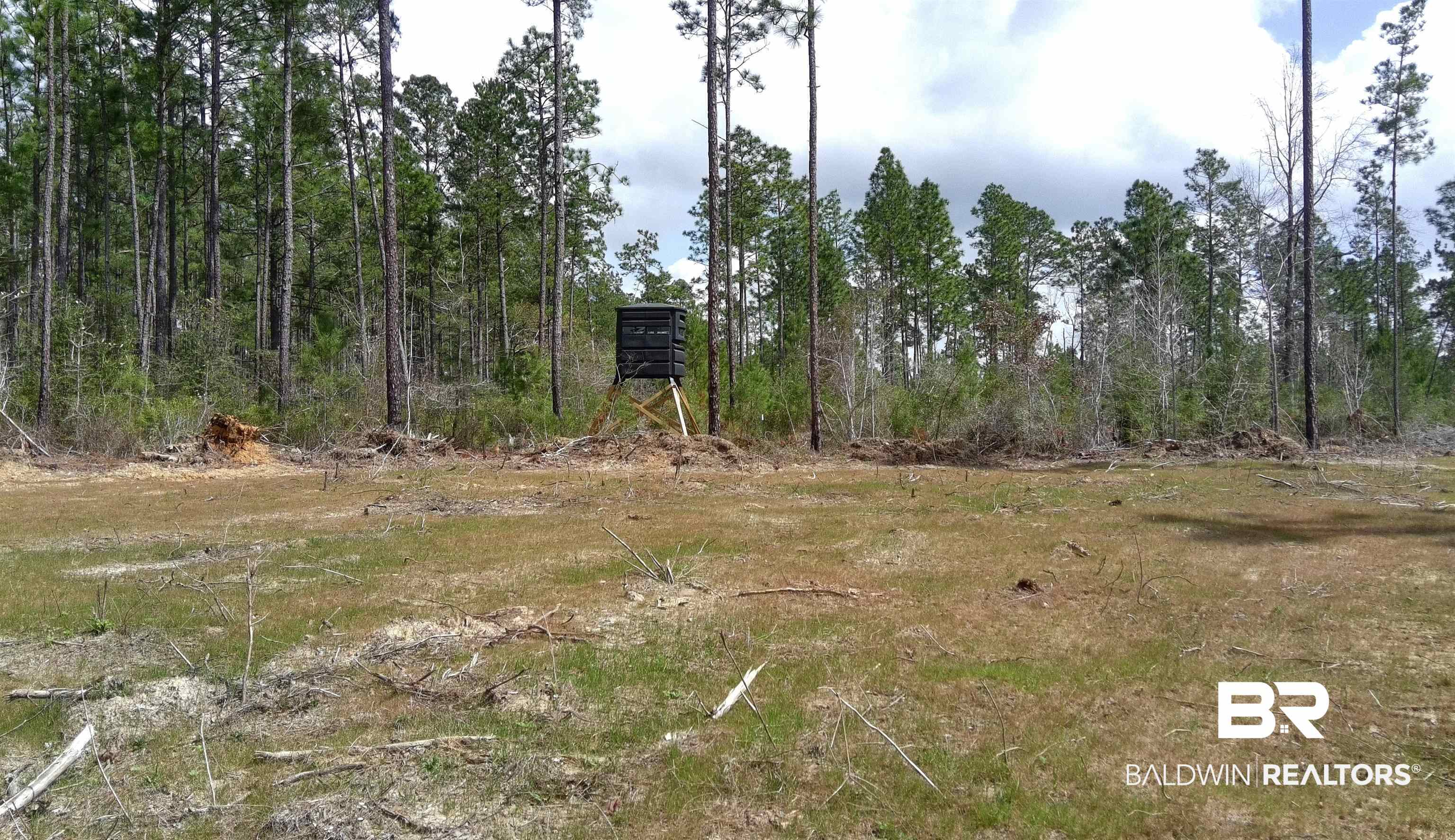 0 Paul Road Bay Minette, AL 36507 - Photo 13 of 19 Shooting Stand on 1 Acre Food Plot