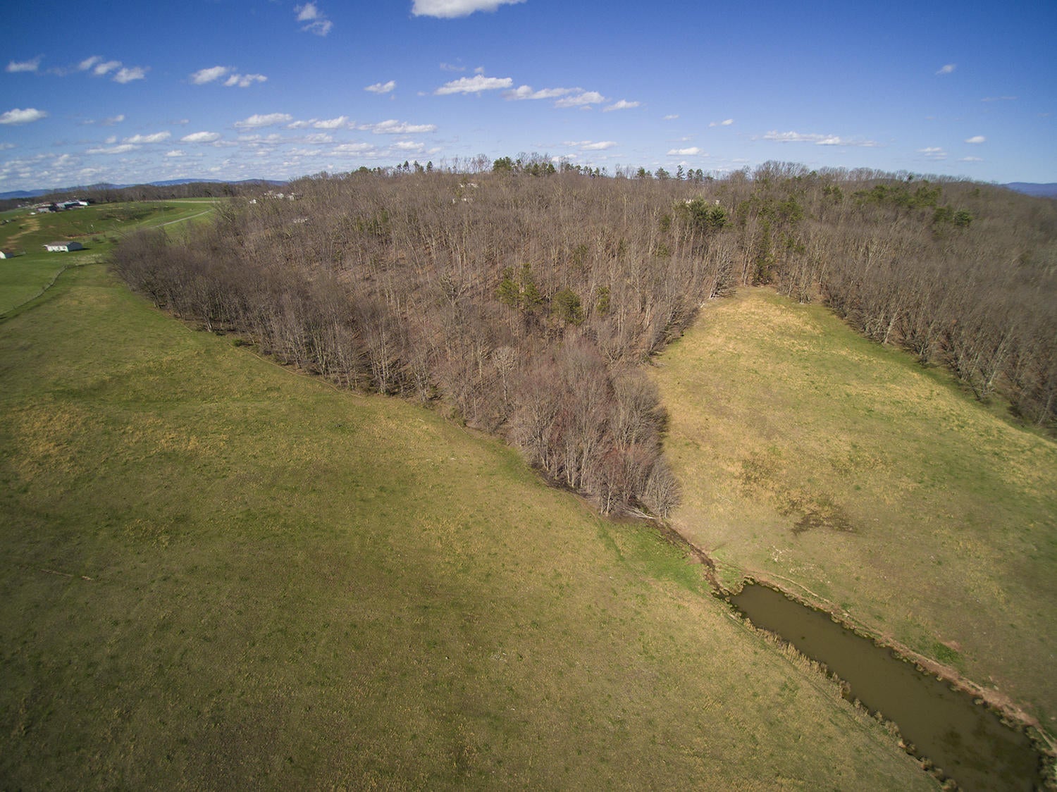 Pine Grove Road Ballard, WV 24918 - Photo 27 of 31 Gallery Image 27