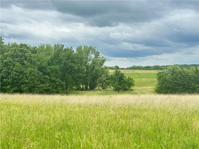 $428,000 | Lone Rock Track, McFall, MO 64657