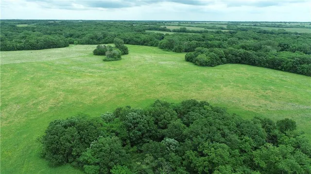 $428,000 | Lone Rock Track, McFall, MO 64657