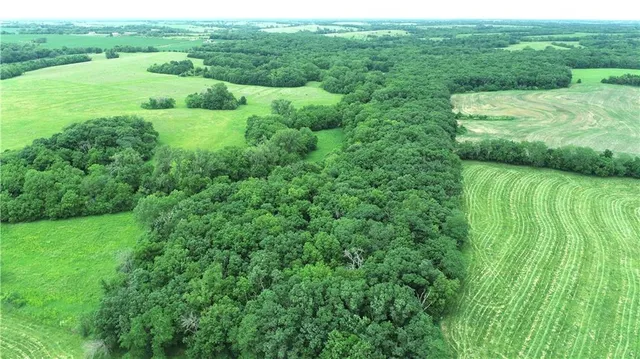 $428,000 | Lone Rock Track, McFall, MO 64657