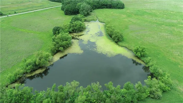 $428,000 | Lone Rock Track, McFall, MO 64657