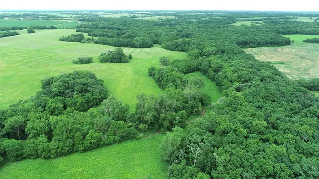 $428,000 | Lone Rock Track, McFall, MO 64657