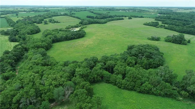 $428,000 | Lone Rock Track, McFall, MO 64657