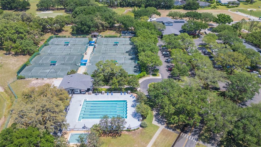 3516 Shadowood Drive Valrico, FL 33596 - Photo 50 of 56