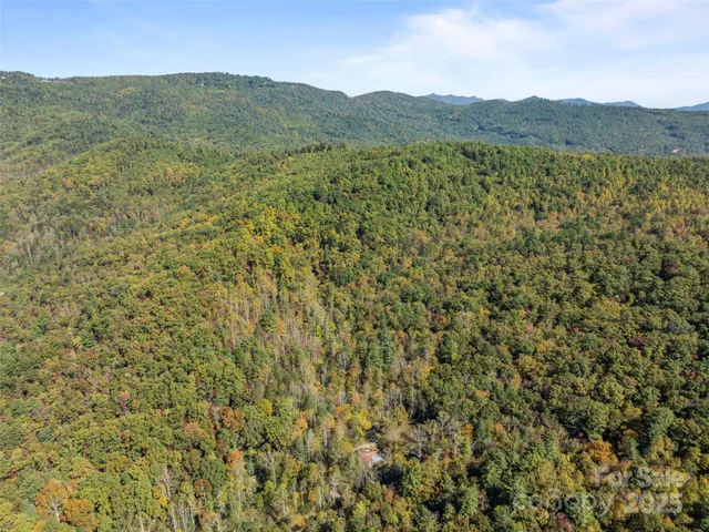 a view of a lush green field with a mountain in the background