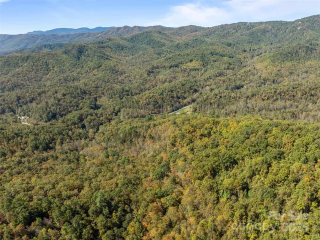 a view of a mountain range with lush green forest