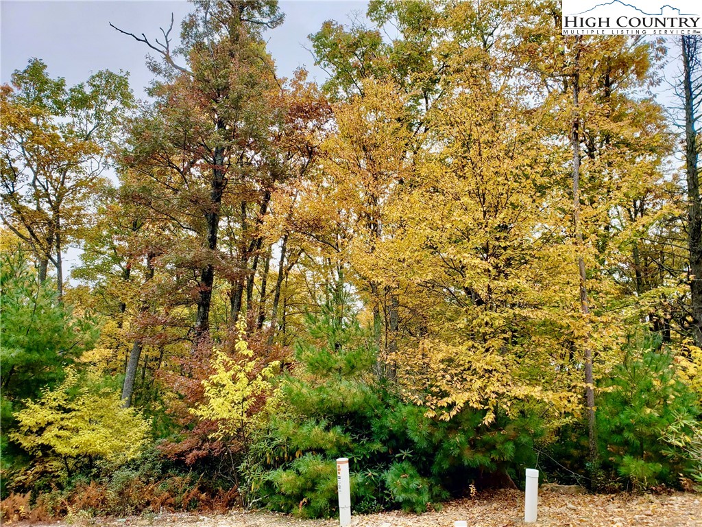 Lot 15 Sunset Ridge Drive Boone, NC 28607 - Photo 11 of 12