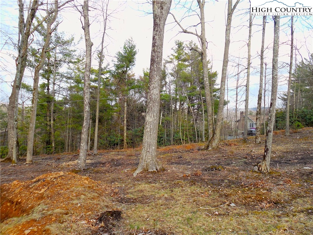 Lot 15 Sunset Ridge Drive Boone, NC 28607 - Photo 3 of 12 a backyard of a house with lots of green space