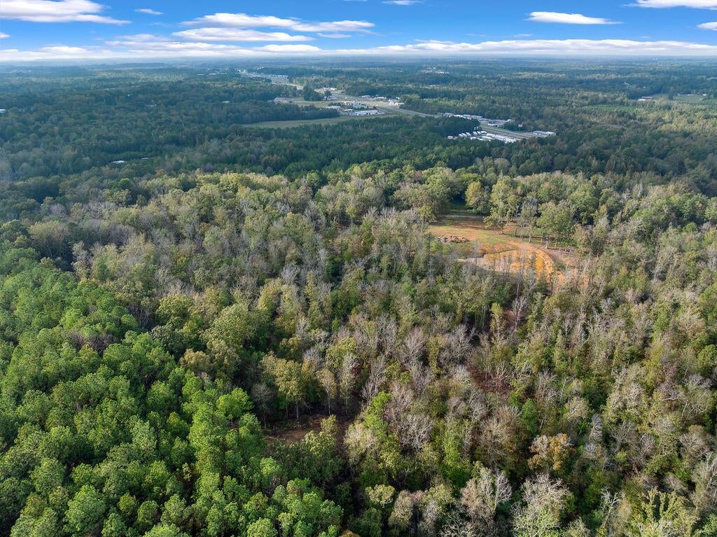954 Evans Road Jasper, AL 35501 - Photo 19 of 19 DJI_20251021145214_0108_D