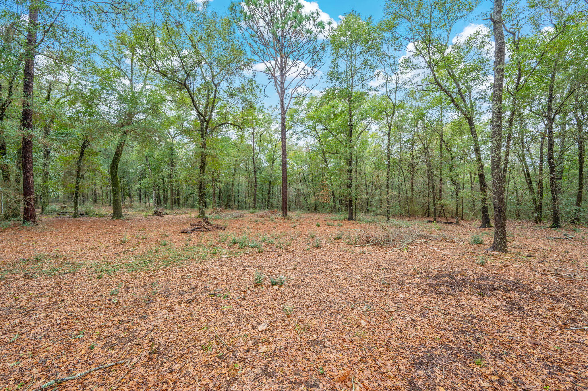 4.69 Acres Jv Woolley Road Crestview, FL 32539 - Photo 9 of 13 17-web-or-mls-jv-woolley-rd