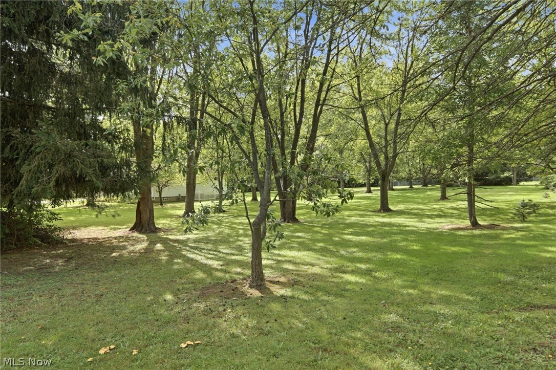 18328 Haskins Road Chagrin Falls, OH 44023 - Photo 37 of 46 Gallery Image 37