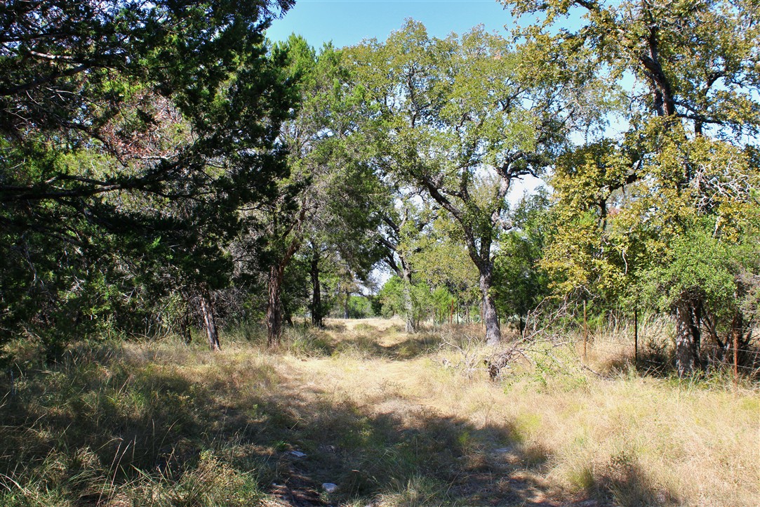543 County Road 4620 Kempner, TX 76539 - Photo 21 of 36 a view of a yard with a tree