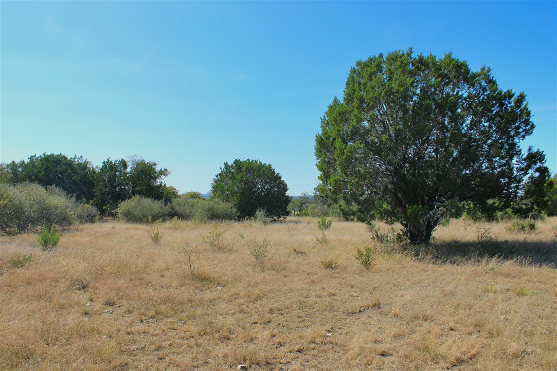 543 County Road 4620 Kempner, TX 76539 - Photo 22 of 36 a view of ocean view with large trees