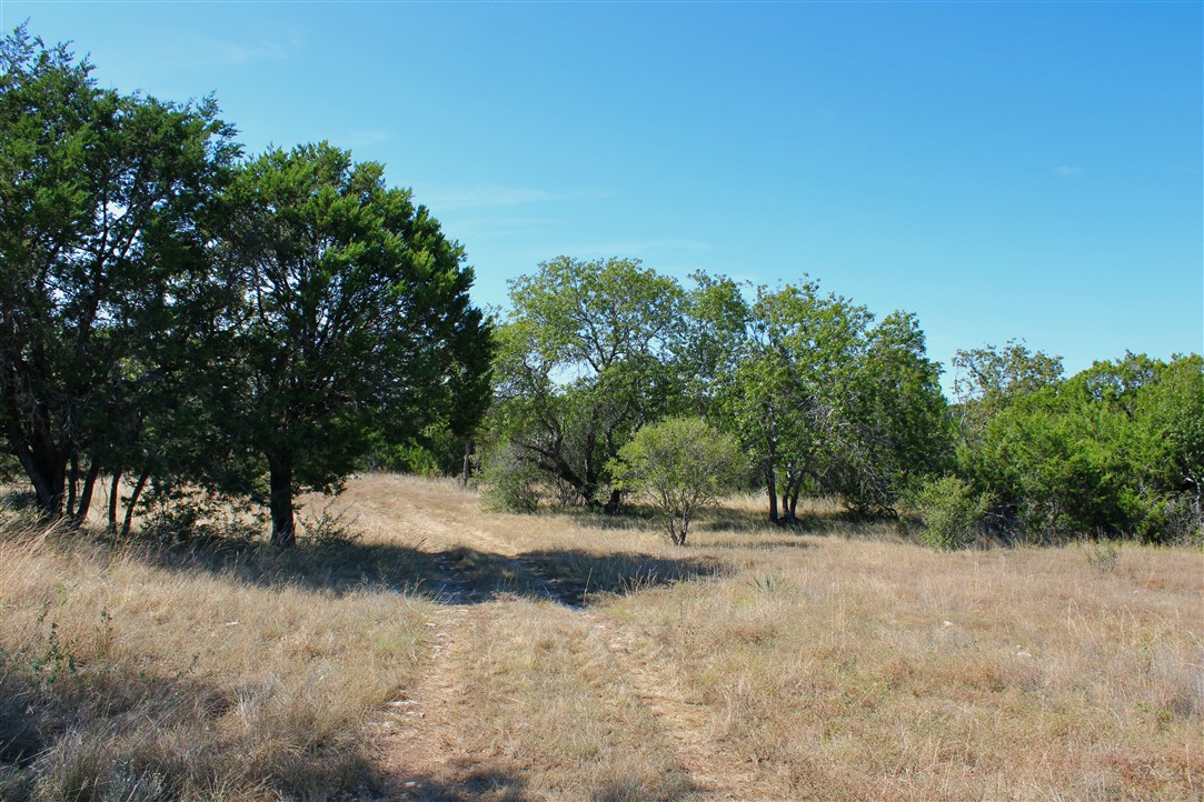 543 County Road 4620 Kempner, TX 76539 - Photo 24 of 36 a view of dirt road with a building in the background